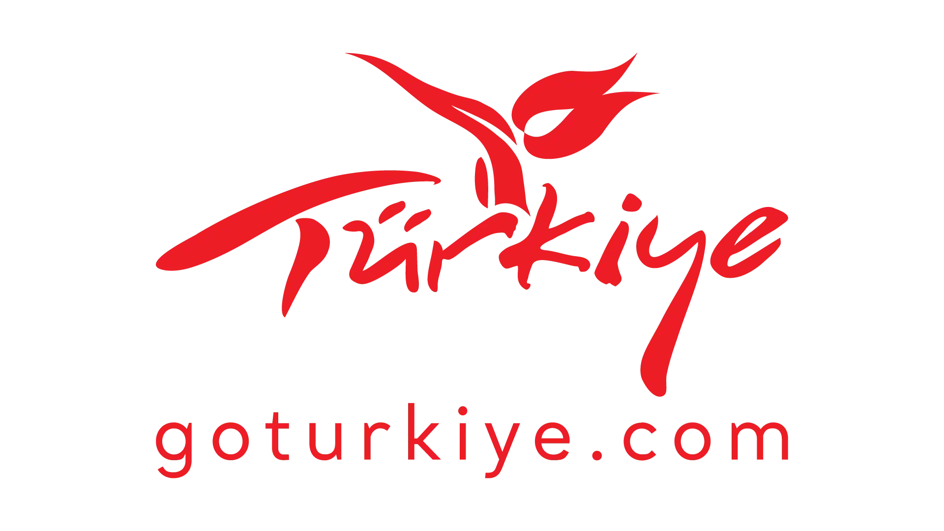 goturkiye_red_big-1-1