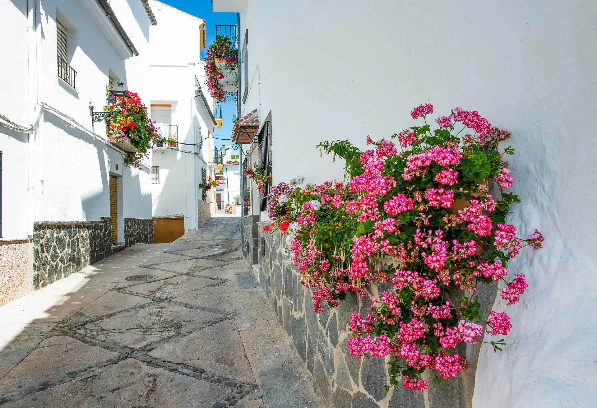 A narrow cobblestone street in a picturesque village lined with whitewashed houses and vibrant pink flowers blooming along stone walls.