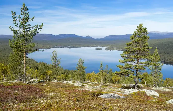 Gutulisjoen, Gutuli Lake, Gutulia National Park, Engerdal, Hedmark, Norway