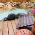 Annet