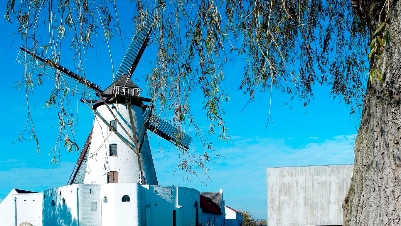 Hovedbilde