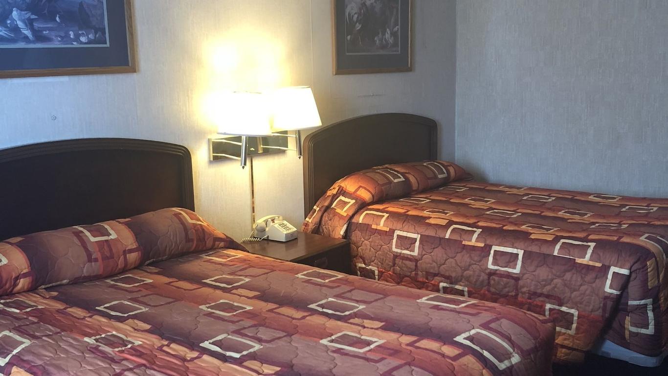 Hovedbilde