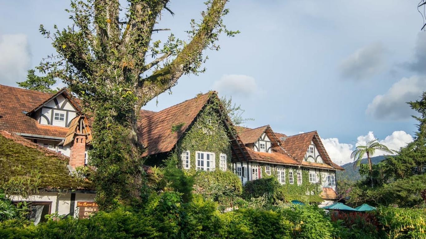 Hovedbilde